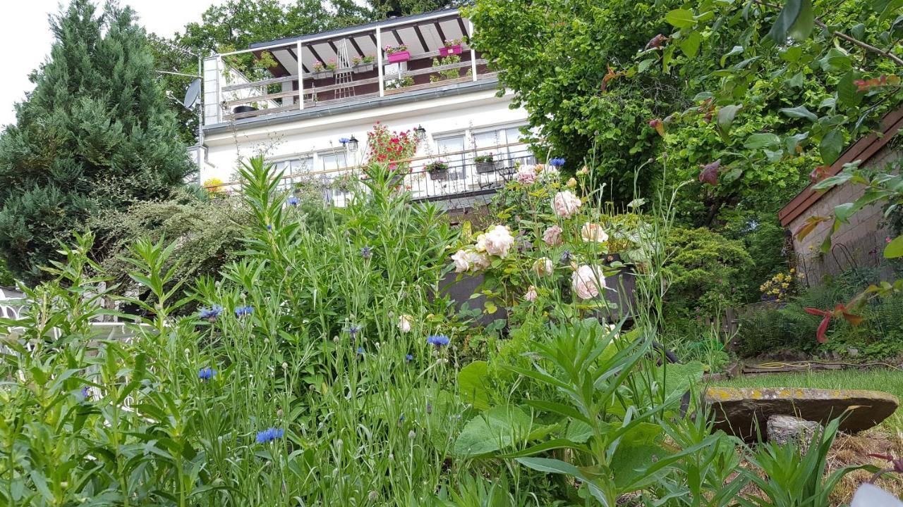 Les Iris Chambres D'Hote Niedermorschwihr Kültér fotó